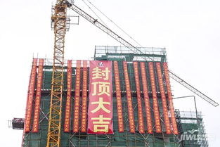 匠心筑夢(mèng) 榮耀封頂——宏晟學(xué)林世家建設(shè)工程圓滿封頂