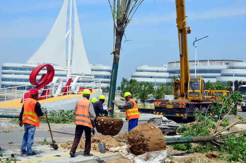 濱海區(qū)加速項(xiàng)目建設(shè)，全力打造精品工程