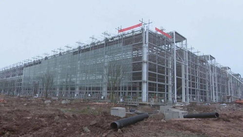 龍興園區四大重點項目加速推進，吉利、三一重工引領建設新高潮